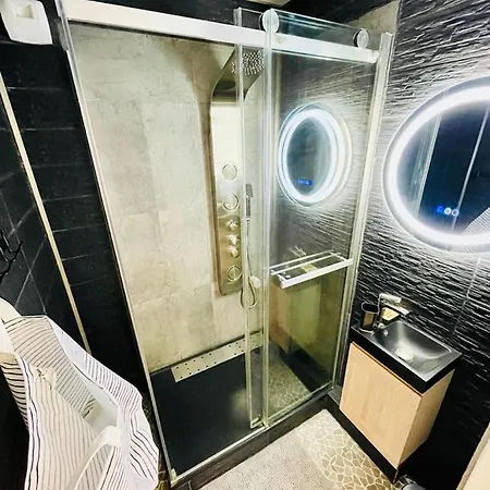 Apartment Flatshare Colocation 4 Close To Geneva *