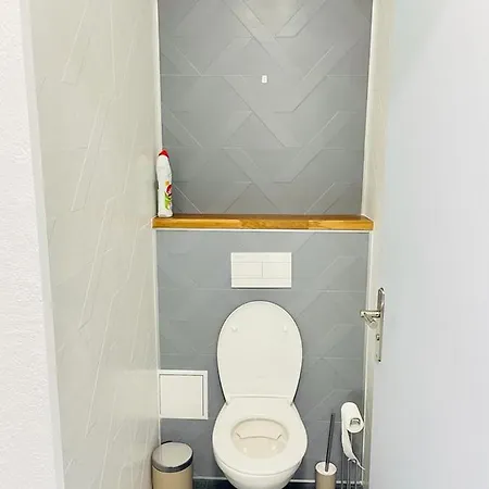Apartment Flatshare Colocation 4 Close To Geneva *